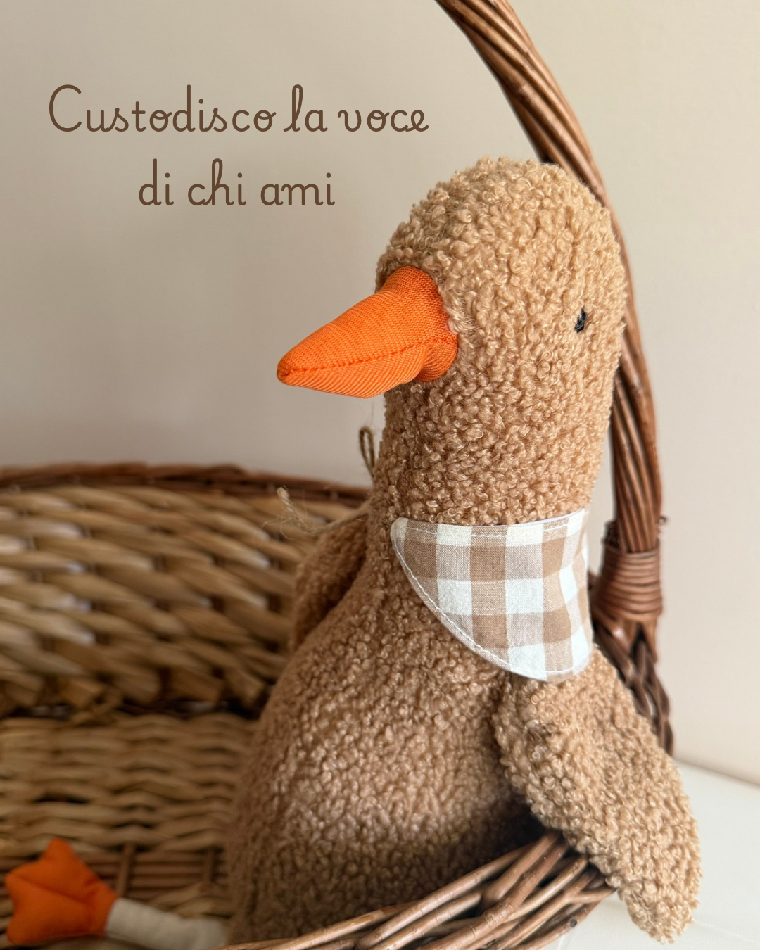 Nidò La voce che coccola