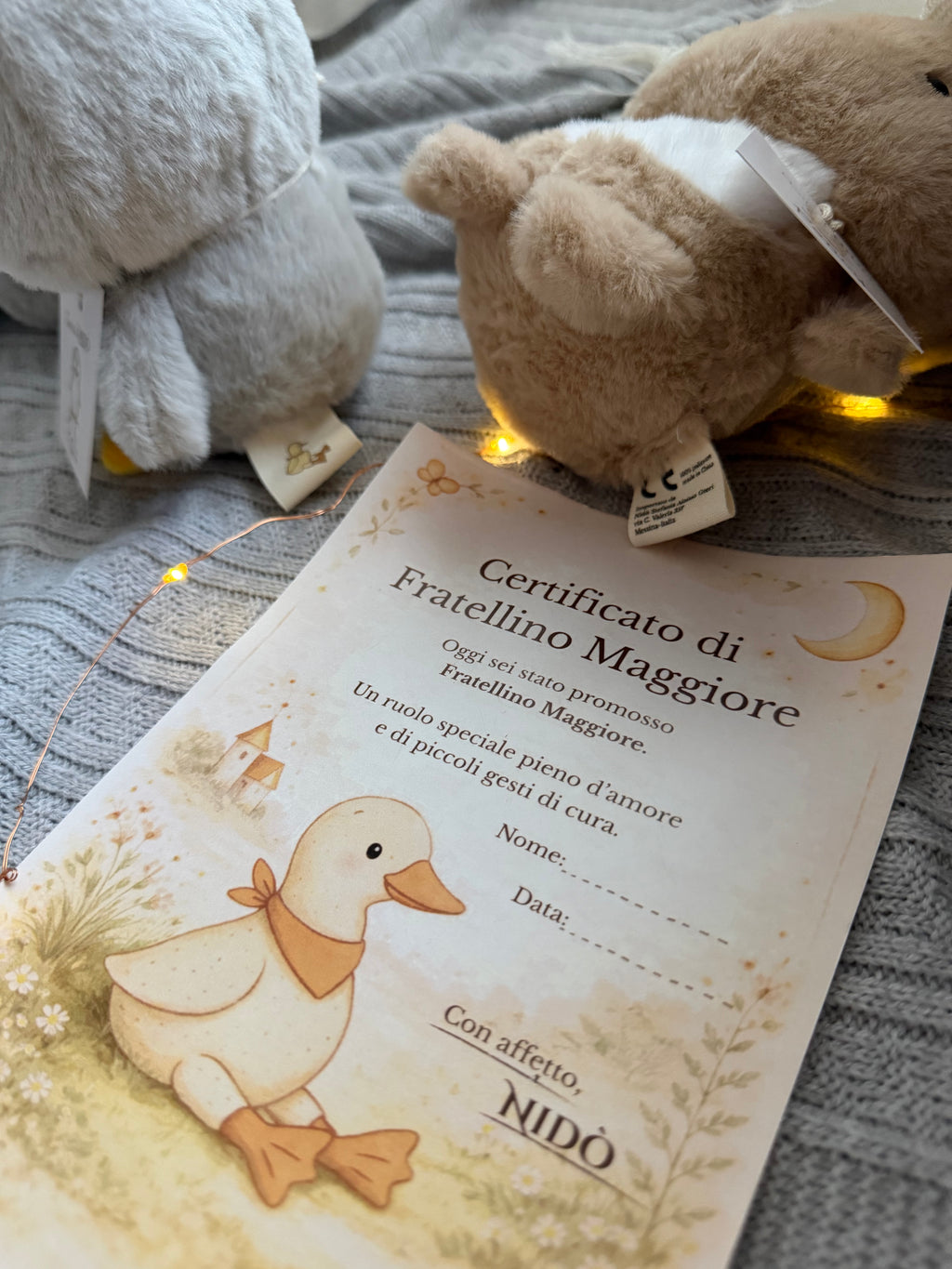Poncy Amico di Nidò