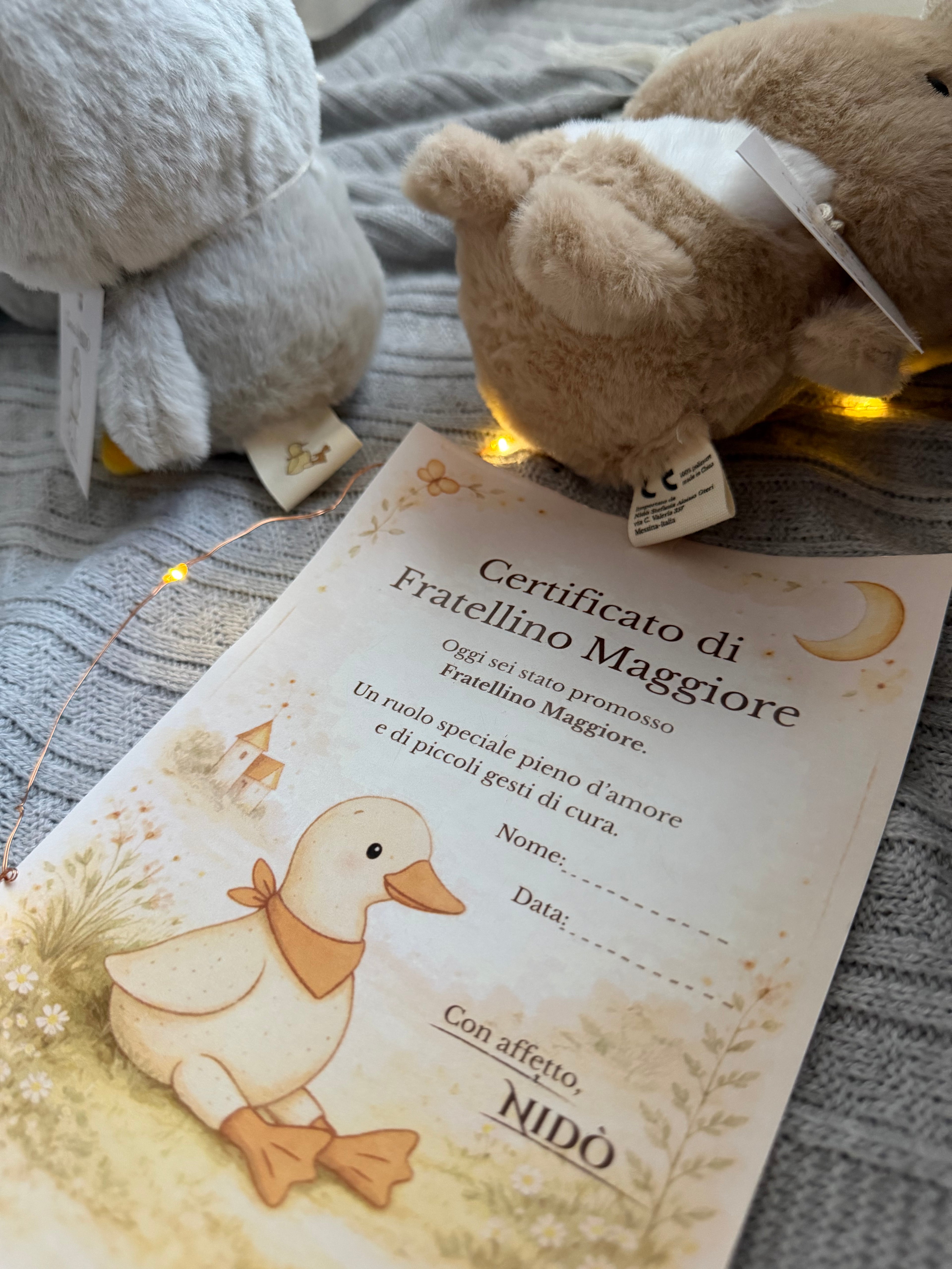 Poncy Amico di Nidò