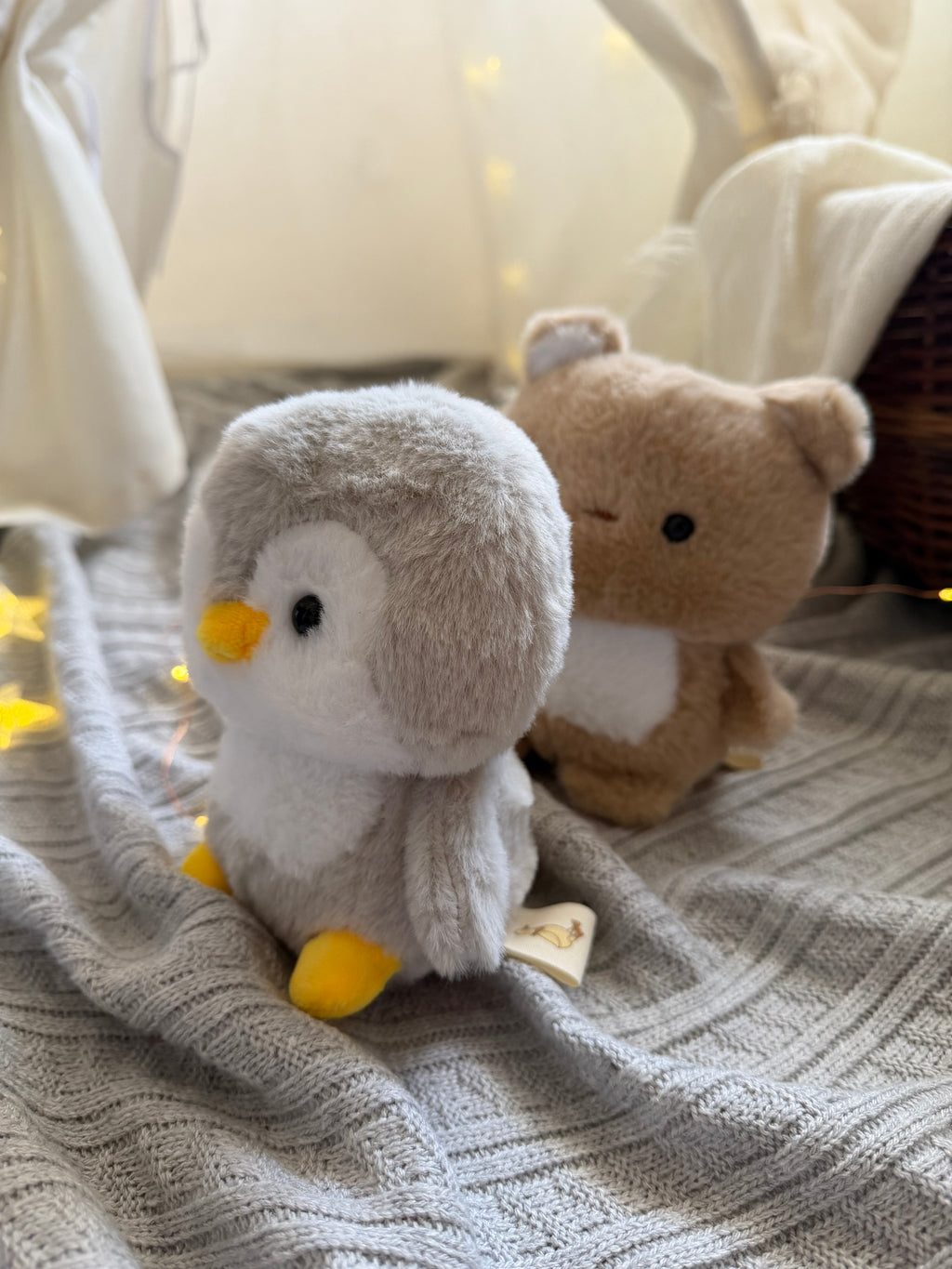 Palù💛Amico di Nidò
