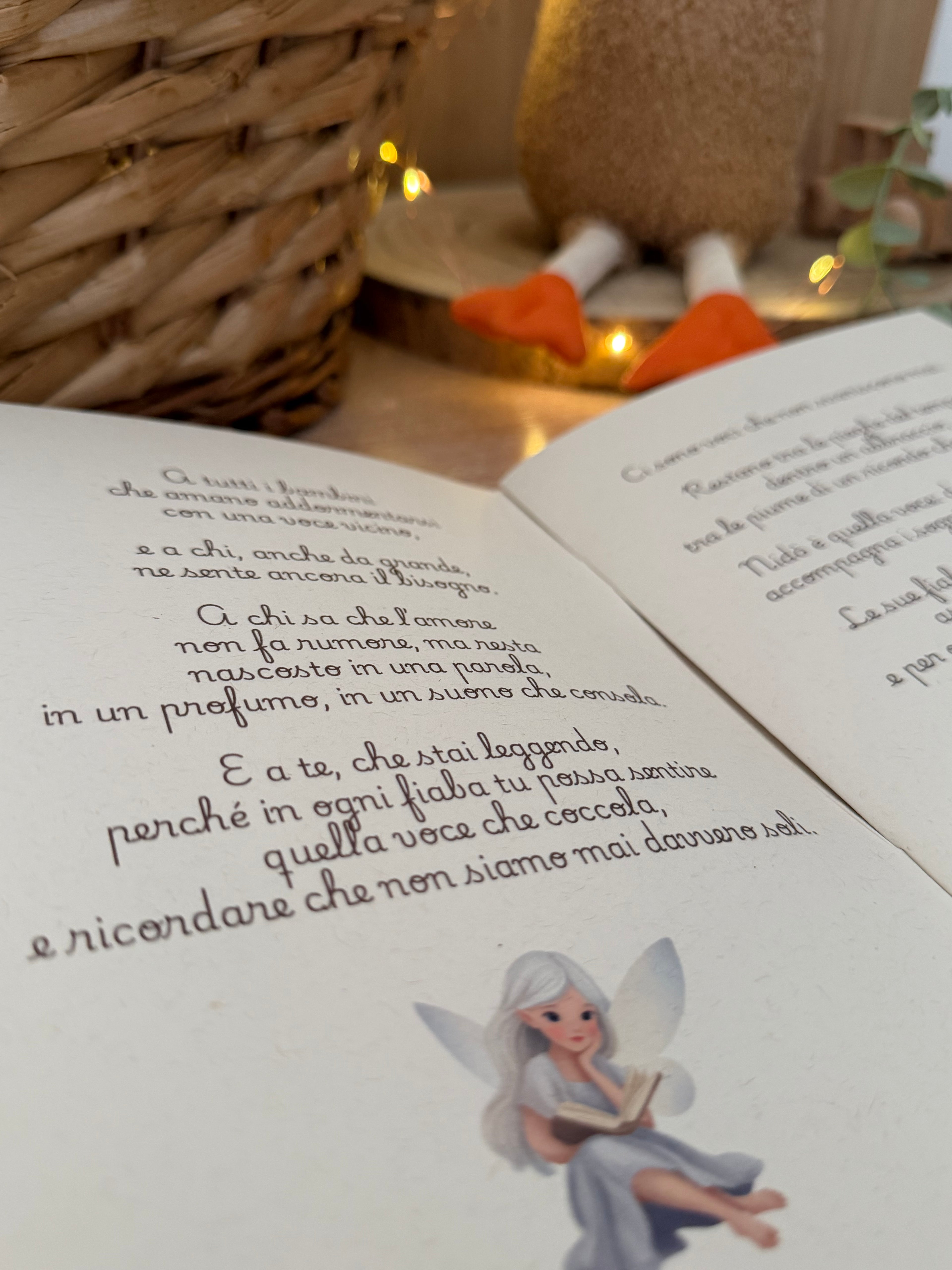 Il Libro delle Fiabe di Nidò - Edizione 2025