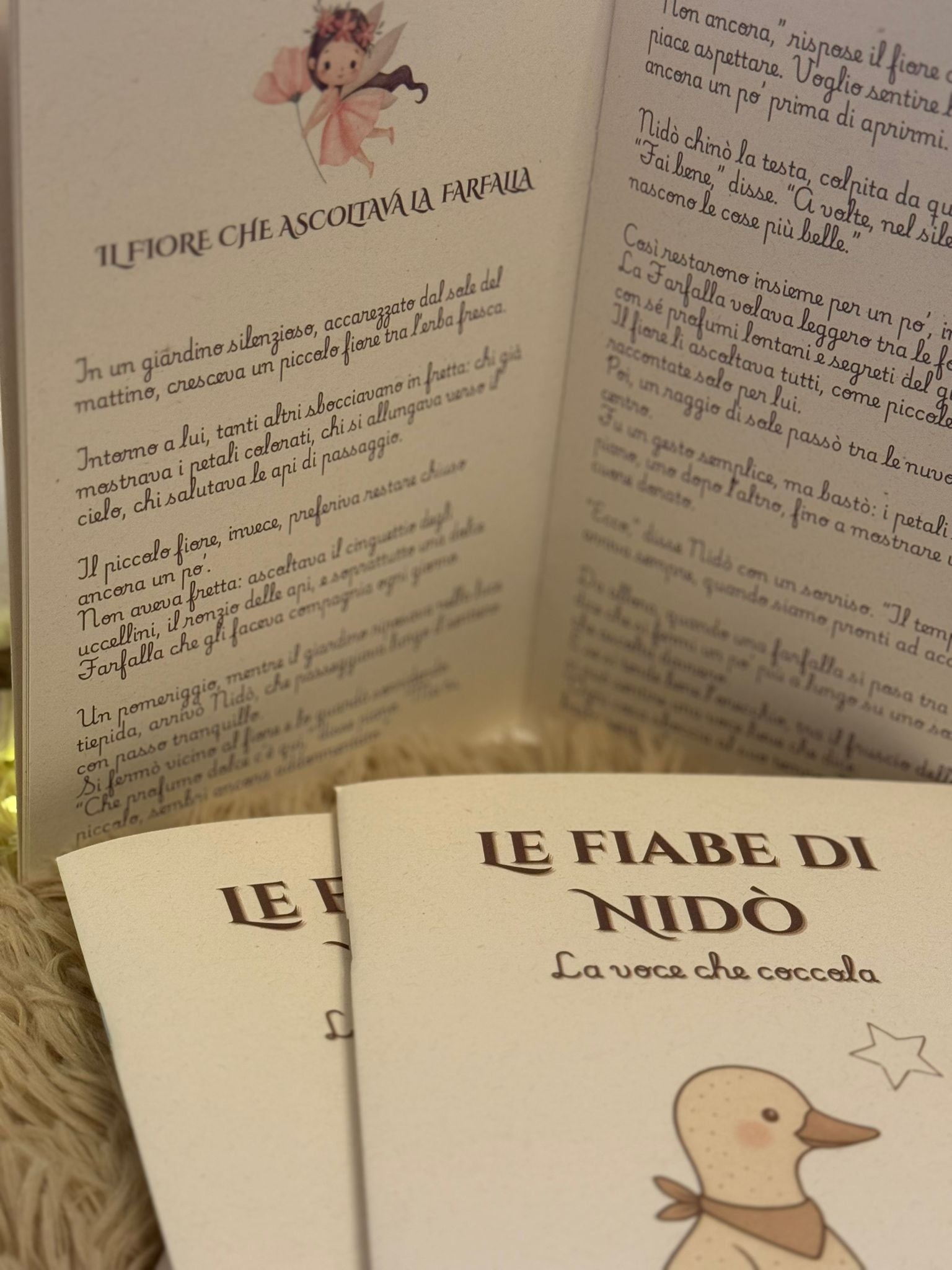 Il Libro delle Fiabe di Nidò - Edizione 2025