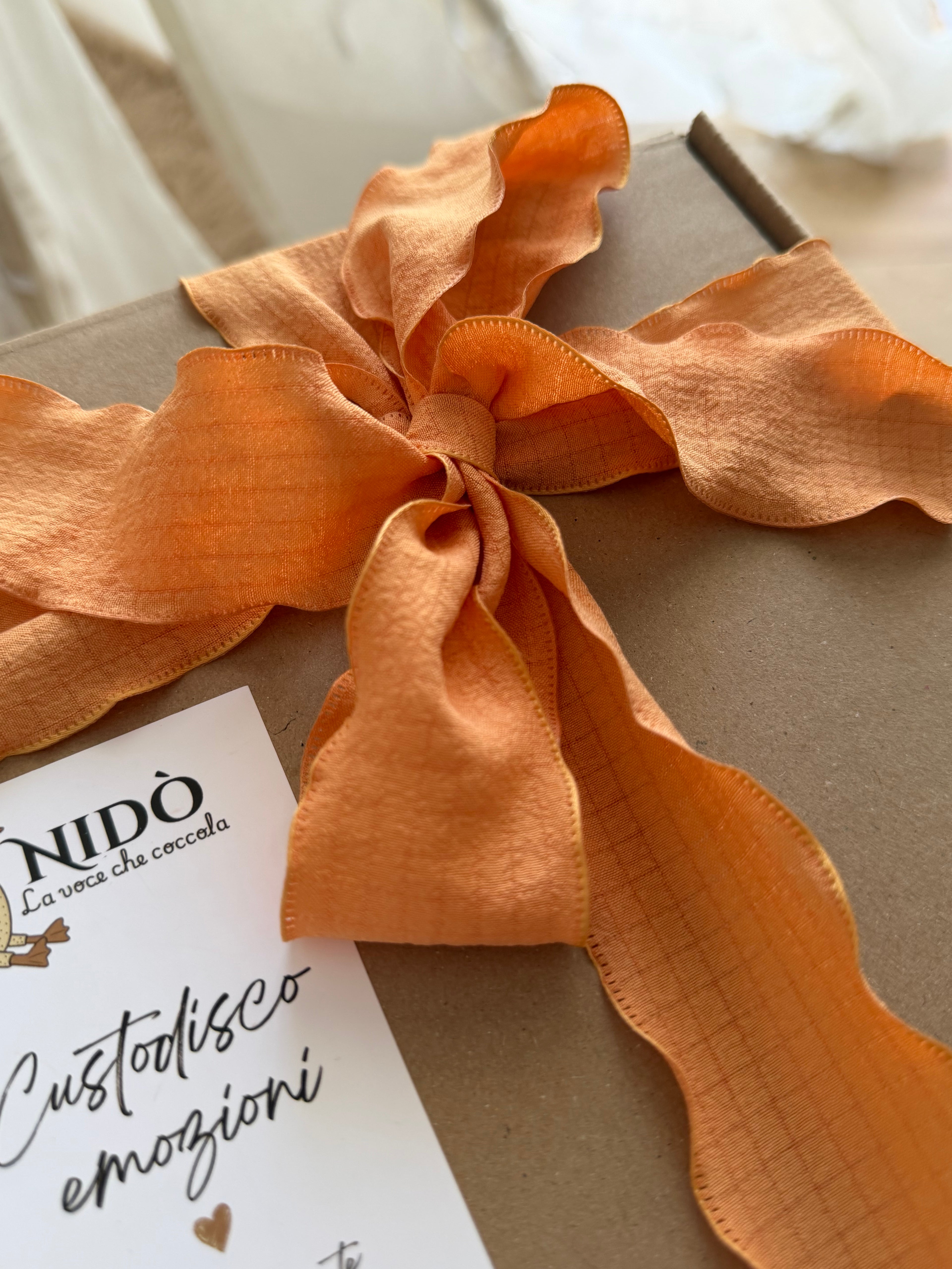 Nidò- Il peluche che custodisce la voce di chi ami